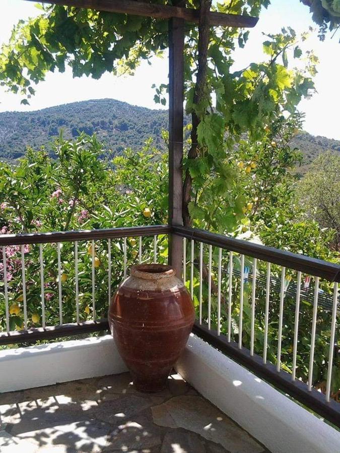 Villa Panayiota Alónnisos Zewnętrze zdjęcie