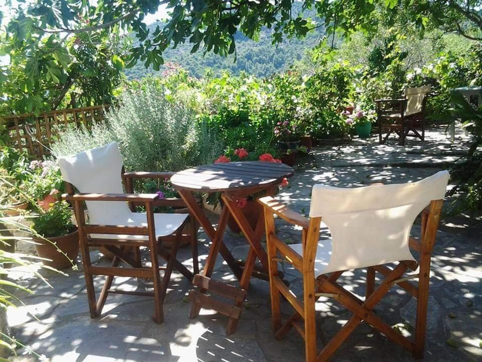 Villa Panayiota Alónnisos Zewnętrze zdjęcie