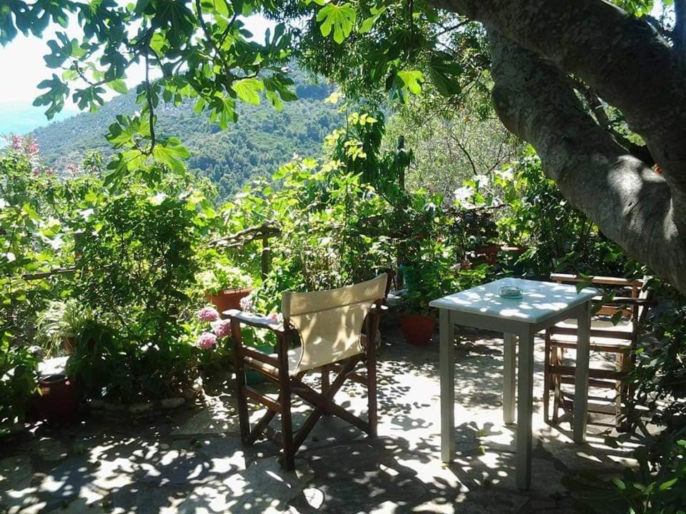 Villa Panayiota Alónnisos Zewnętrze zdjęcie