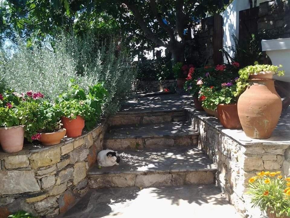 Villa Panayiota Alónnisos Zewnętrze zdjęcie