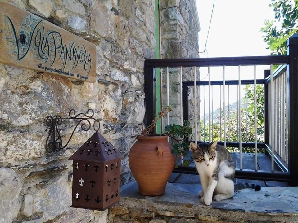 Villa Panayiota Alónnisos Zewnętrze zdjęcie