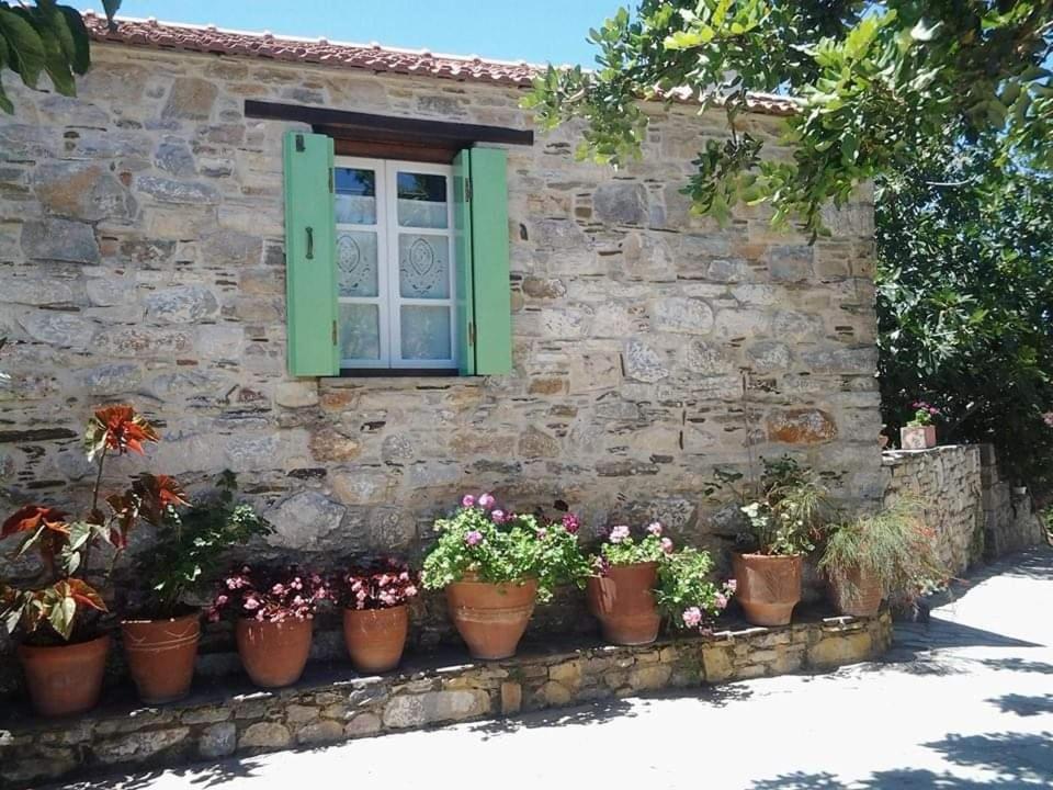 Villa Panayiota Alónnisos Zewnętrze zdjęcie