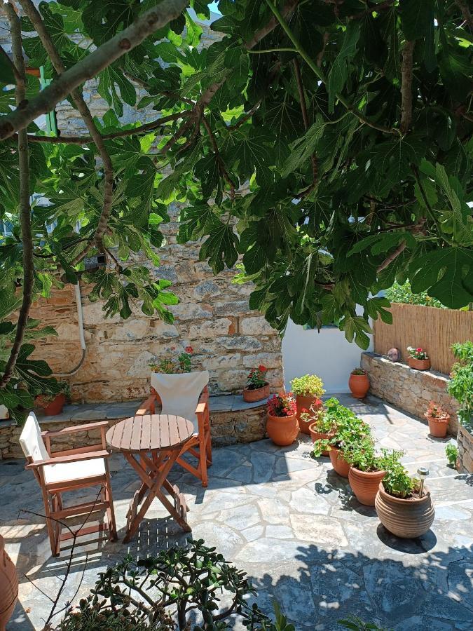 Villa Panayiota Alónnisos Zewnętrze zdjęcie
